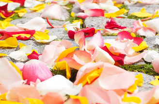 Rosenblüten mit Duft für die Badewanne