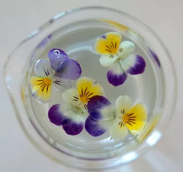 Stiefmütterchen im Becherglas