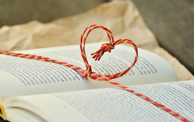 Bücher Geschenke