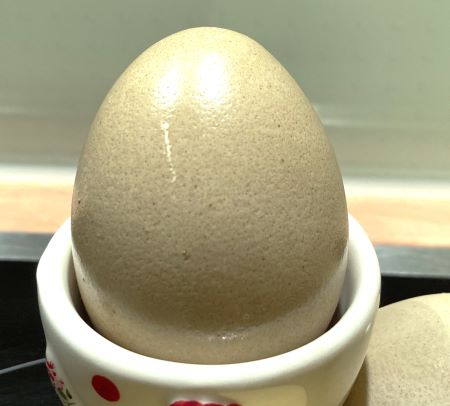Brennnesselpulver färbt ein Ei helloliv