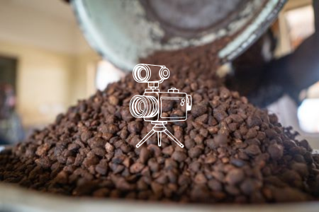 Replay Sheabutter Vom Baum bis zur Kosmetik mit Sandra von Sheayeah