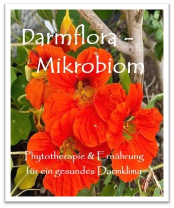Darmflora - Mikrobiom Phytotherapie&Ernährung für ein gesundes Darmklima von Andrée Rechsteiner