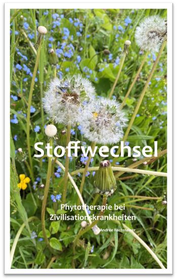 Stoffwechsel Phytotherapie bei Zivilisationskrankheiten von Andrée Rechsteiner
