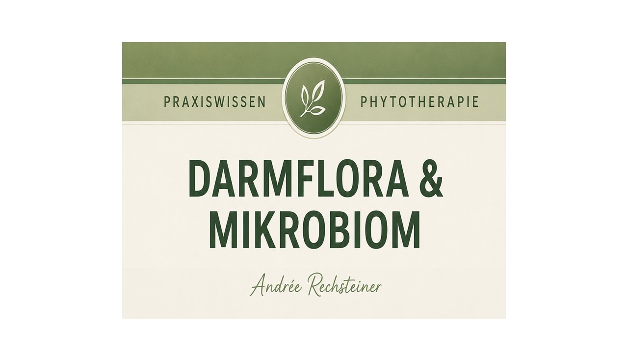 Darmflora - Mikrobiom Phytotherapie&Ernährung für ein gesundes Darmklima von Andrée Rechsteiner