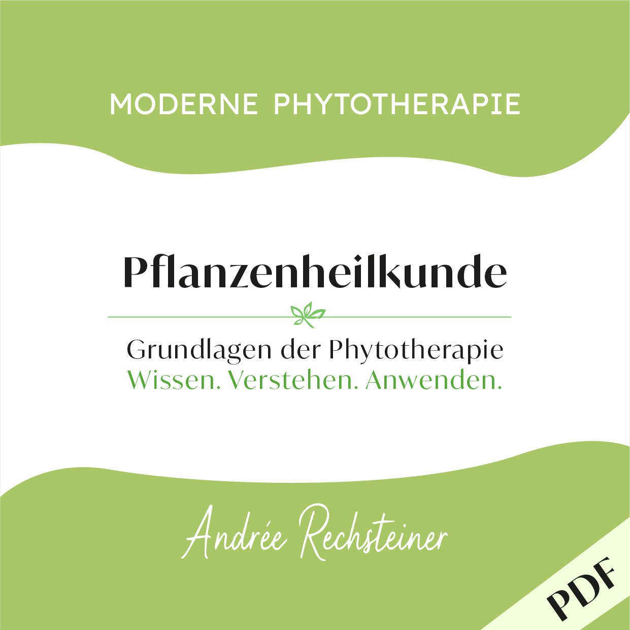 Grundausbildung in Pflanzenheilkunde, Moderne Phytotherapie von Andrée Rechsteiner