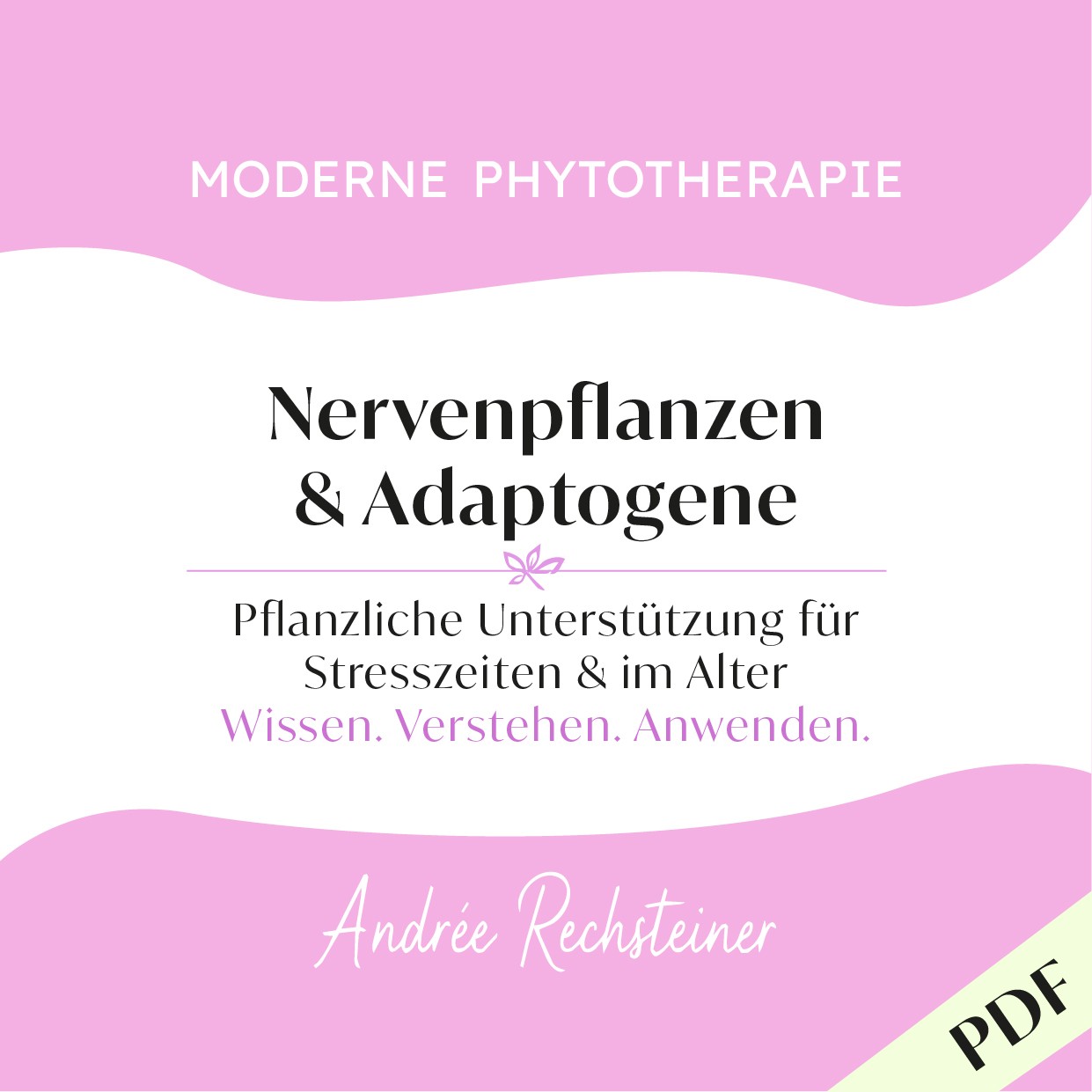 Nervenpflanzen&Adaptogene aus der Reihe Moderne Phytotherapie von Andrée Rechsteiner