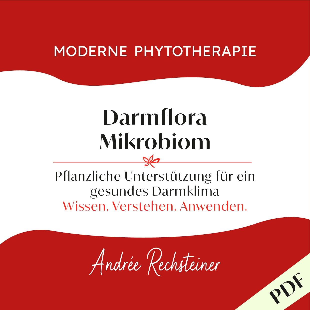 Darmflora, Mikrobiom aus der Reihe: Moderne Phytotherapie von Andrée Rechsteiner