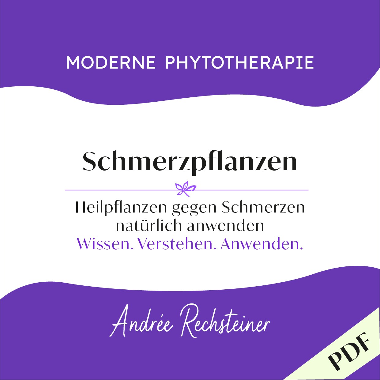 Schmerzpflanzen aus der Reihe: Moderne Phytotherapie von Andrée Rechsteiner
