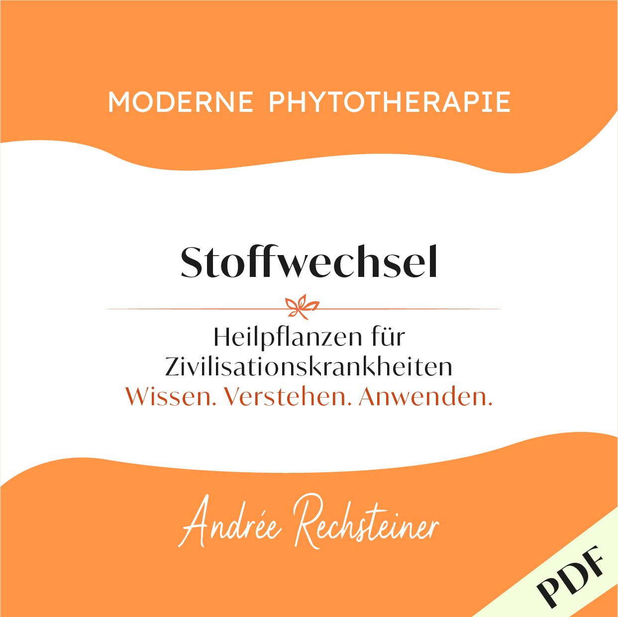 Stoffwechsel aus der Reihe: Moderne Phytotherapie von Andrée Rechsteiner